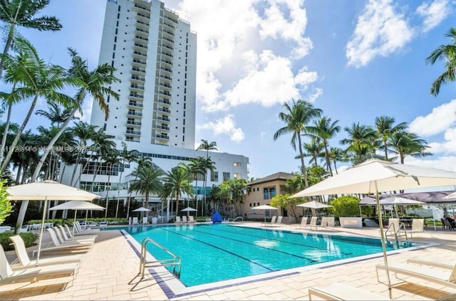 view of swimming pool with a patio