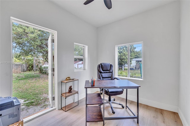 office with ceiling fan and light hardwood / wood-style flooring