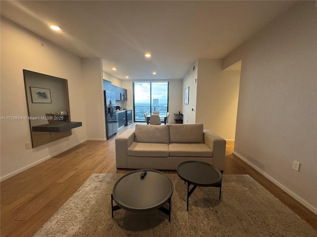 living room with light hardwood / wood-style floors and expansive windows