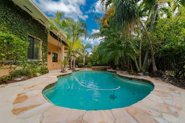 view of swimming pool with a patio