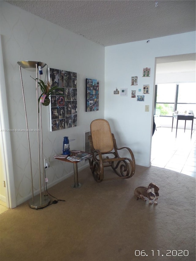 unfurnished room with a textured ceiling and carpet flooring