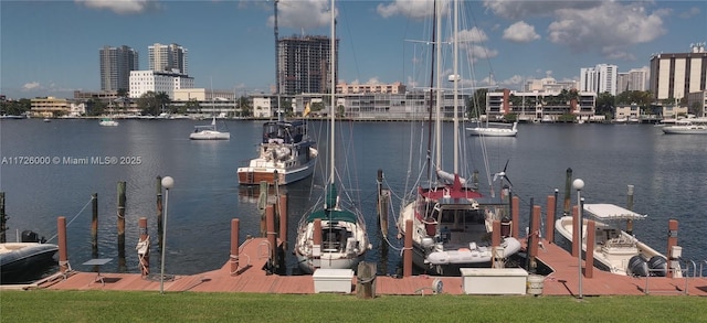 view of water feature featuring a boat dock