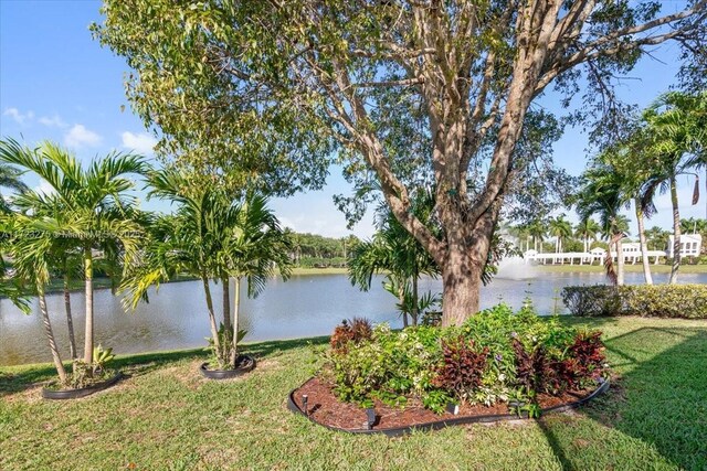 water view