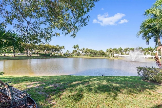 property view of water