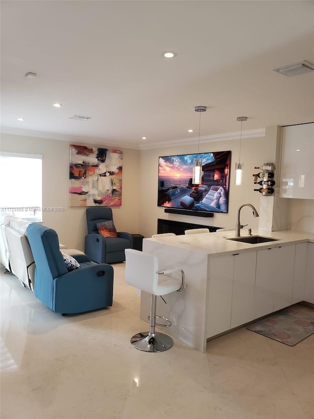 home theater room featuring sink and ornamental molding