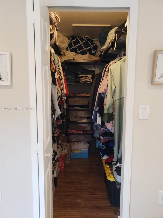 spacious closet featuring dark wood-type flooring