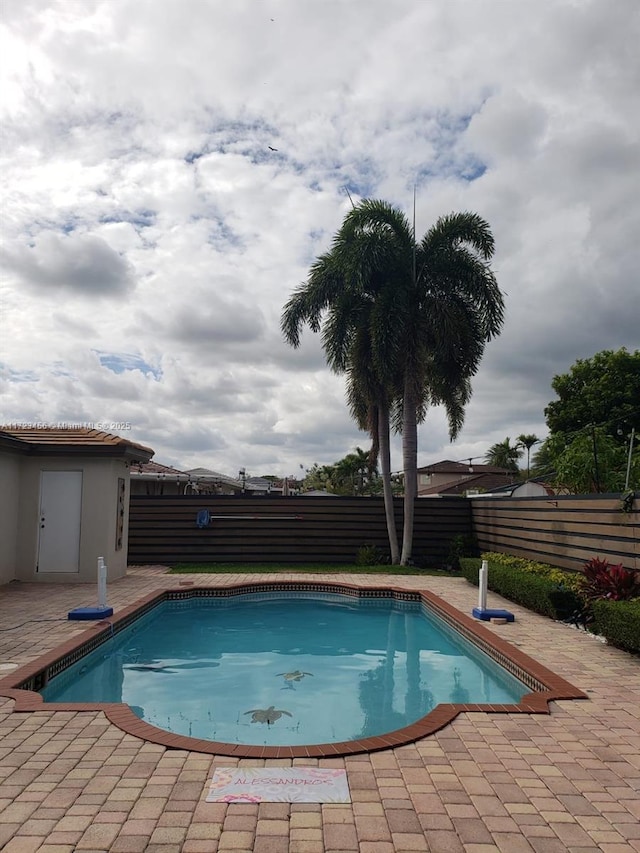 view of swimming pool featuring a patio