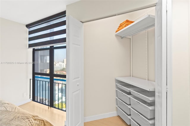 interior space with a closet and light hardwood / wood-style flooring