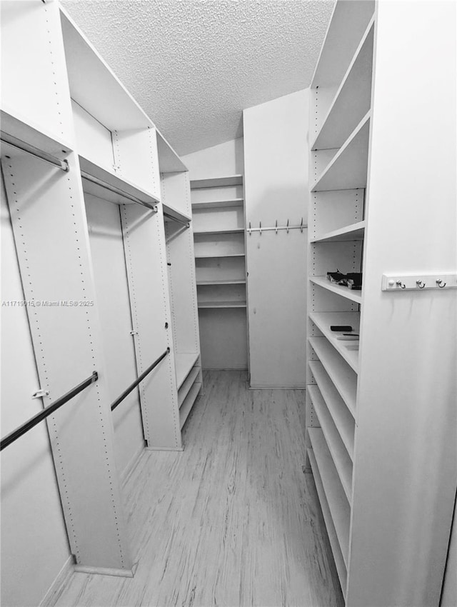 walk in closet with light wood-type flooring