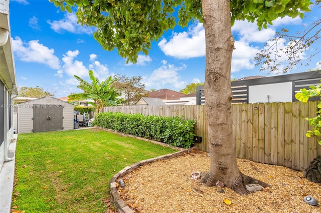 view of yard featuring a shed