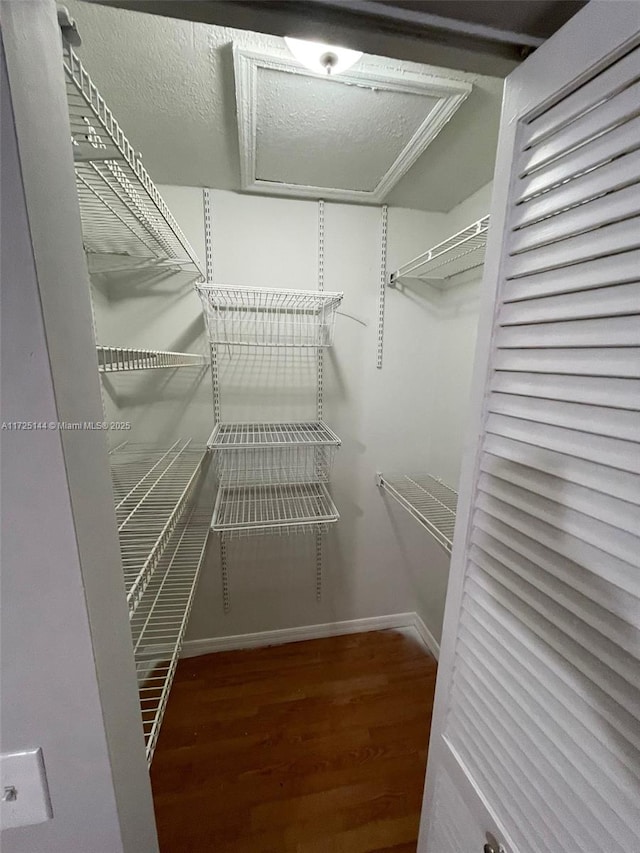 walk in closet featuring hardwood / wood-style flooring