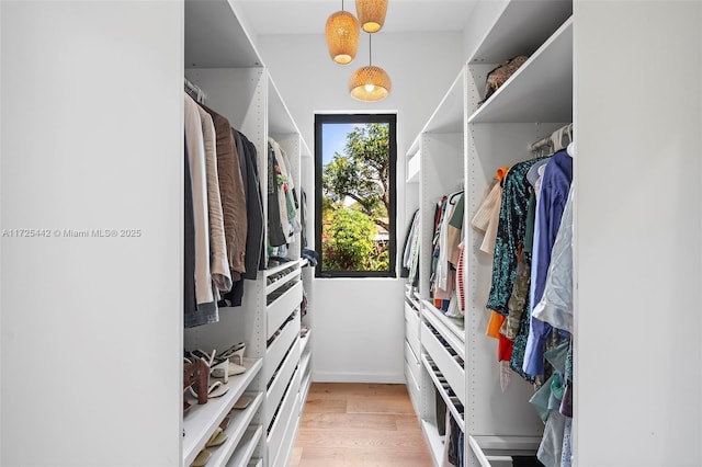 spacious closet featuring light wood-type flooring