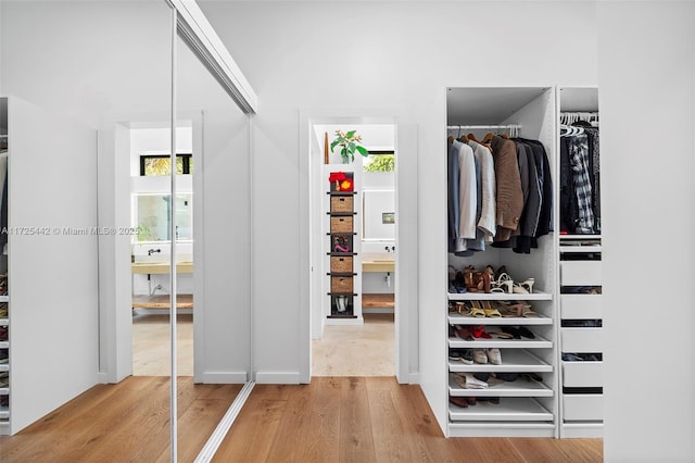 view of closet