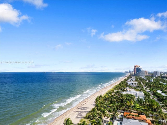 property view of water with a beach view