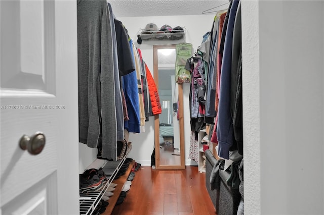 spacious closet featuring hardwood / wood-style floors