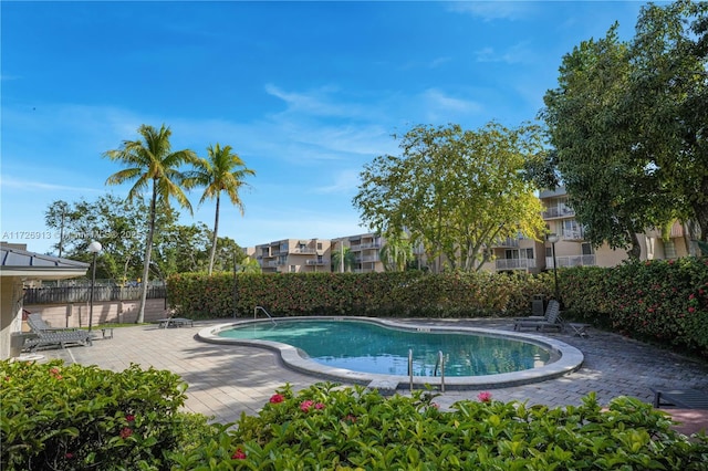 view of pool featuring a patio area