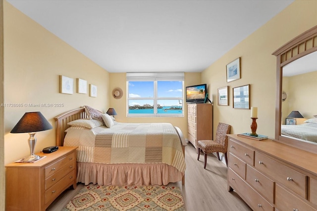 bedroom featuring light hardwood / wood-style floors