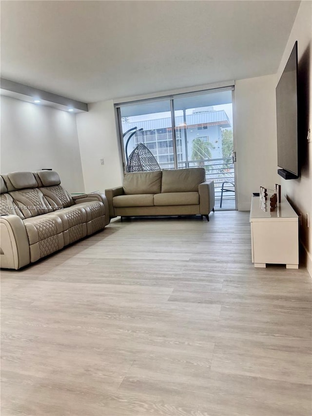 unfurnished living room with light wood-type flooring