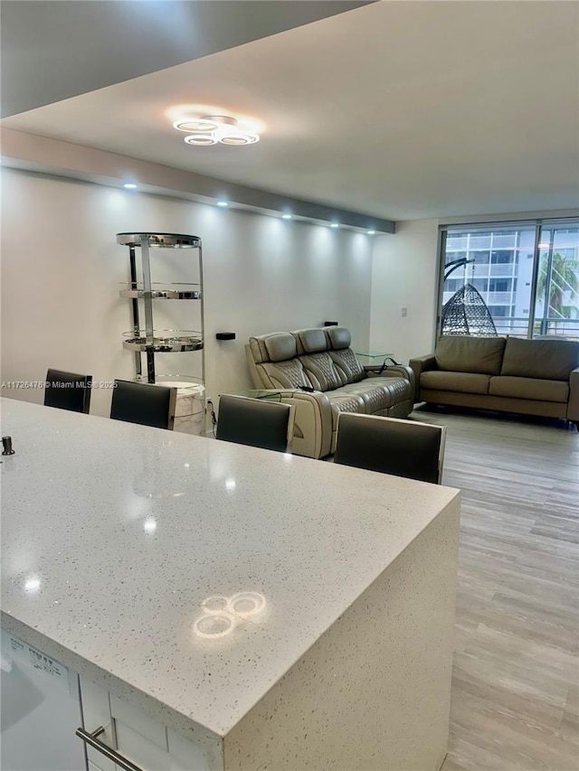 living room with light hardwood / wood-style flooring