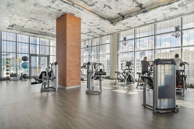 gym with hardwood / wood-style floors, expansive windows, and a healthy amount of sunlight