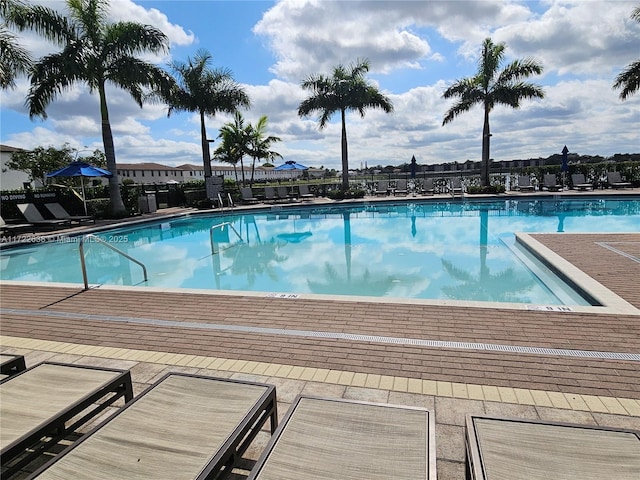 view of swimming pool