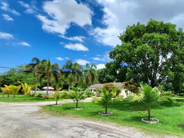 view of community featuring a yard