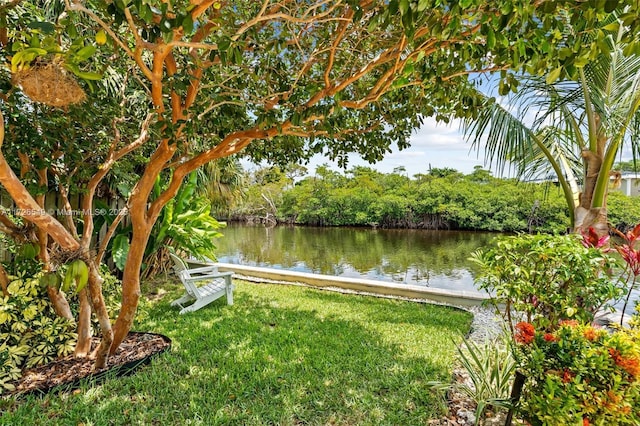 425 NE 29th St, Wilton Manors, FL 33334 - dock with a water view and a yard