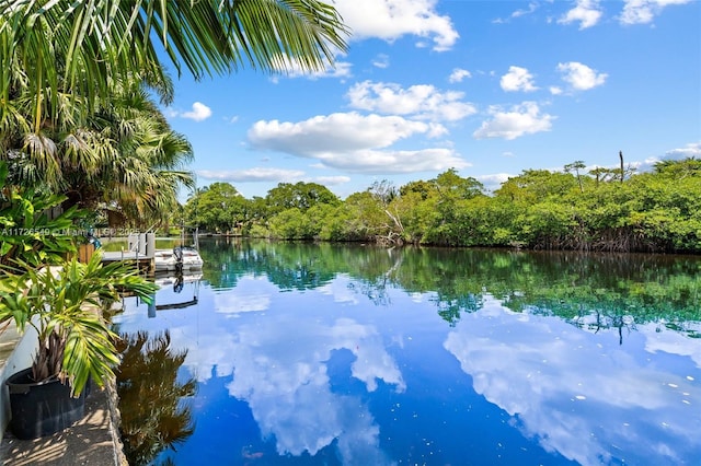 property view of water with a boat dock