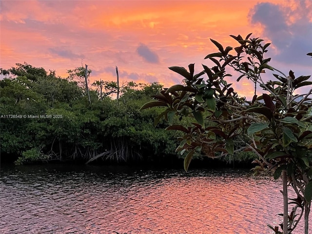 nature at dusk featuring a water view