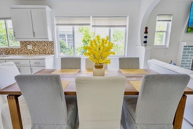 dining room with a wealth of natural light