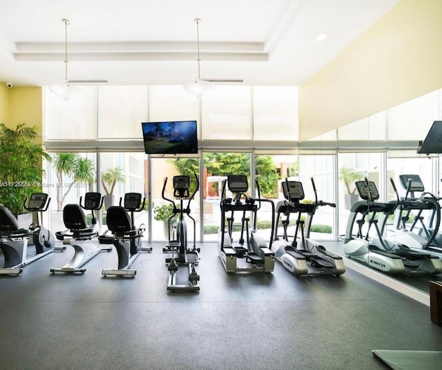 exercise room featuring expansive windows and a wealth of natural light