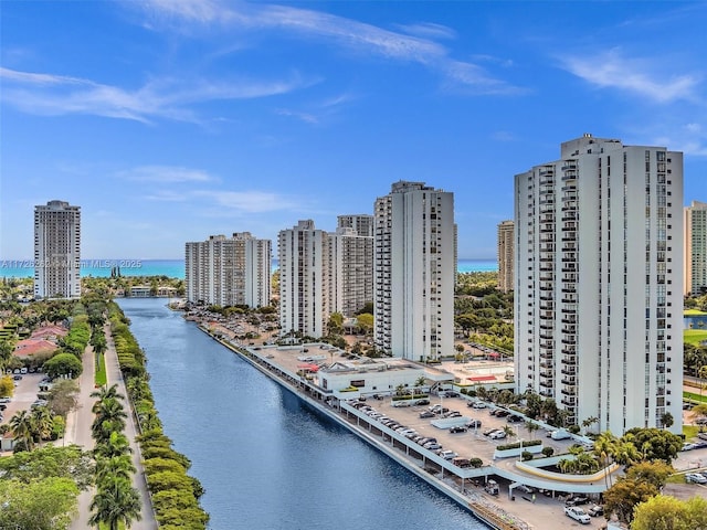 aerial view with a water view