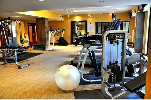 workout area featuring carpet flooring