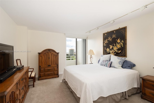 bedroom with rail lighting and light colored carpet