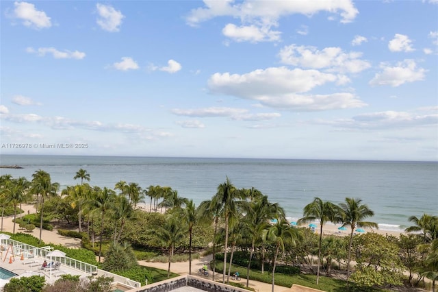 view of water feature featuring a view of the beach