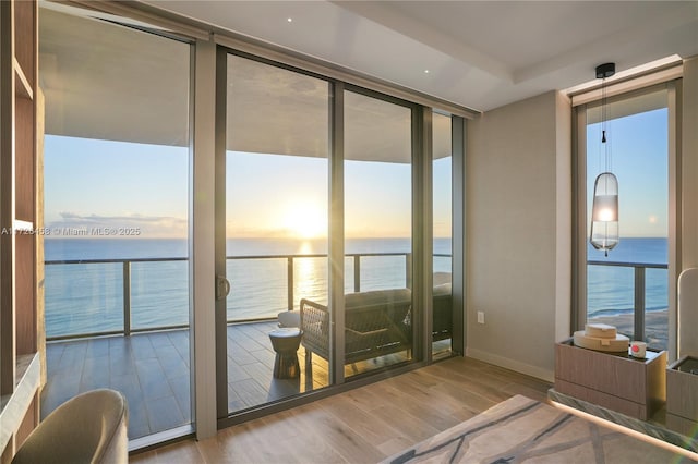 doorway to outside featuring a water view, a healthy amount of sunlight, floor to ceiling windows, and wood finished floors