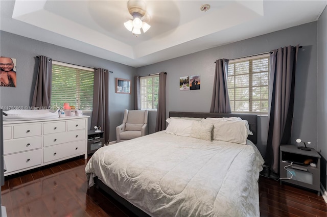 bedroom with a raised ceiling, ceiling fan, and dark wood-type flooring