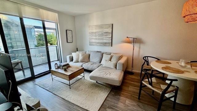 living room with dark hardwood / wood-style flooring