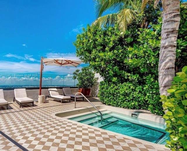 view of pool featuring a patio area