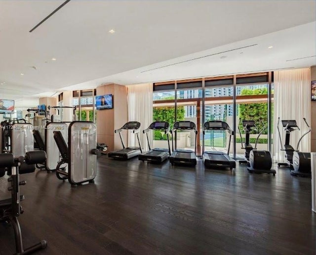 gym with floor to ceiling windows, dark hardwood / wood-style flooring, and a healthy amount of sunlight