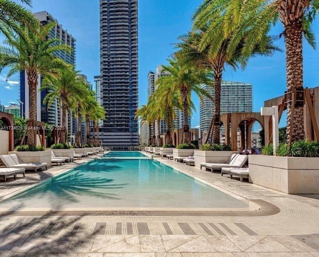 view of pool with a patio