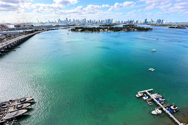 aerial view with a water view