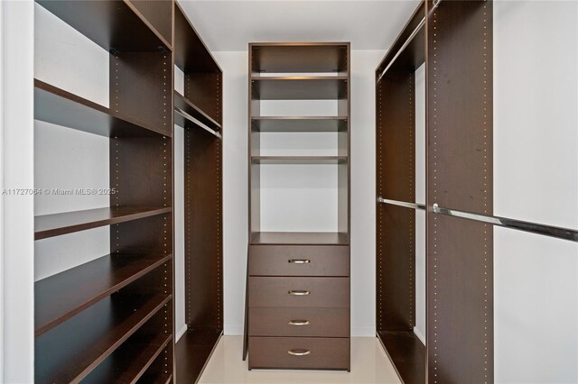 view of spacious closet