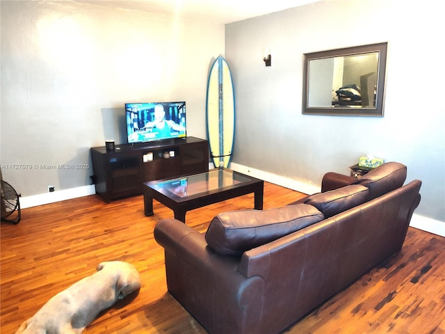 living room with wood-type flooring