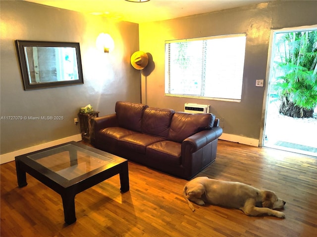 living room featuring wood-type flooring and a wall mounted air conditioner