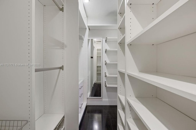 spacious closet featuring dark wood-type flooring