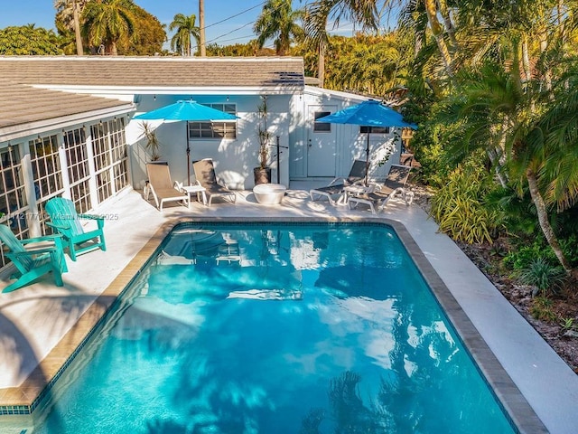 view of swimming pool featuring french doors and a patio