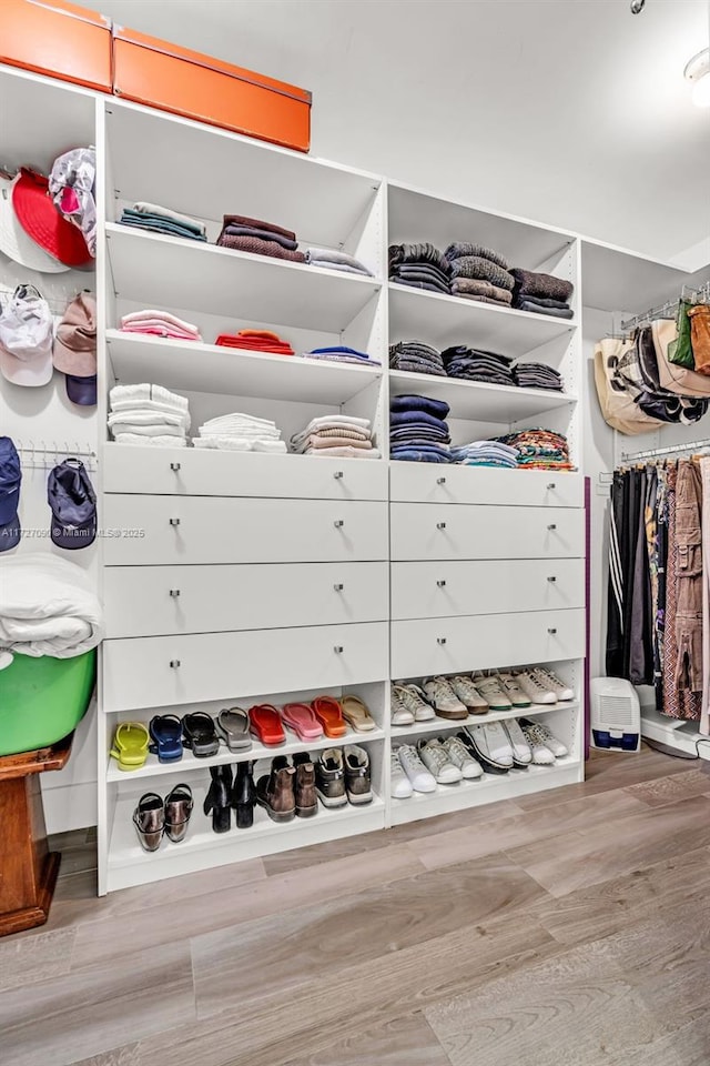 spacious closet featuring light wood-type flooring