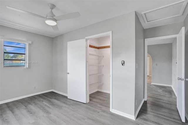 unfurnished bedroom featuring a spacious closet, ceiling fan, a closet, and wood-type flooring