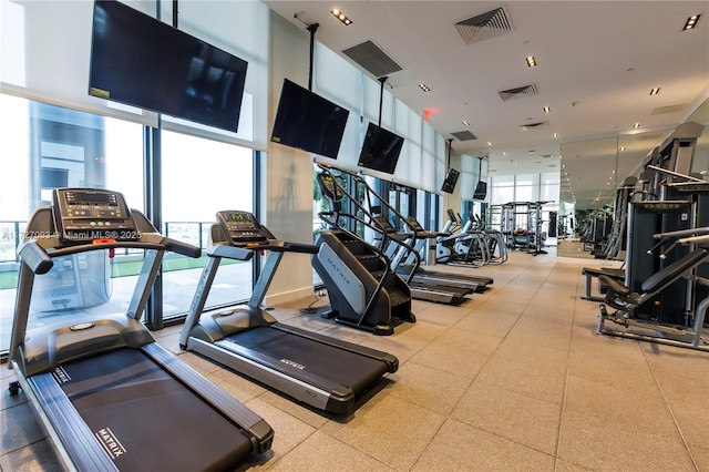 workout area featuring a healthy amount of sunlight and floor to ceiling windows